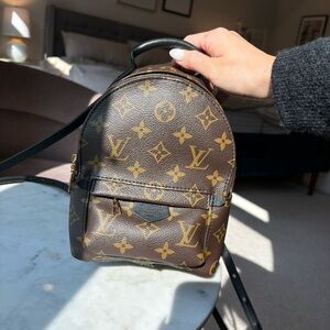 Louis Vuitton Palm Springs Mini